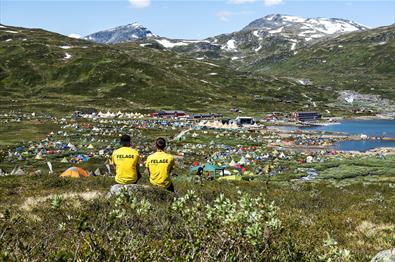 Vinjerock-campen