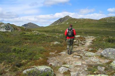 A hiker in a red jacket on a rocky path with a mountain in the background