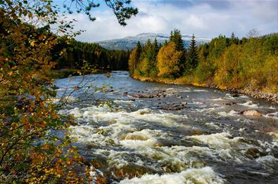 River Etna is a great fishing river.