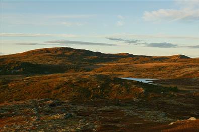 Autumn-coloured high country above the tree line in soft evening light.