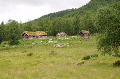 Fjelldokkbue