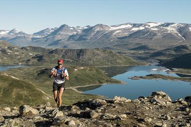 Jotunheimen Trail Run