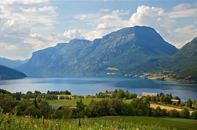 Blumenwiese und grüne Weiden in Vang, im Hang oberhalb von Grindaheim mit Aussicht über den See Vangsmjøse. Das Skutshorn dominiert den HIntergrund am anderen Seeufer.