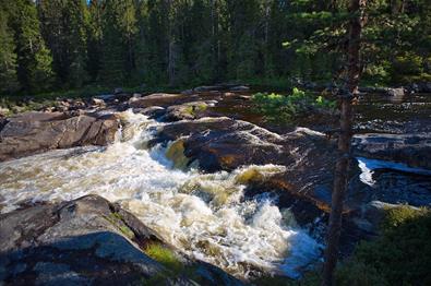 Rapids in the Hølera River, a little further downstream than where one encounters it on the cycling route Hølervassrunden.