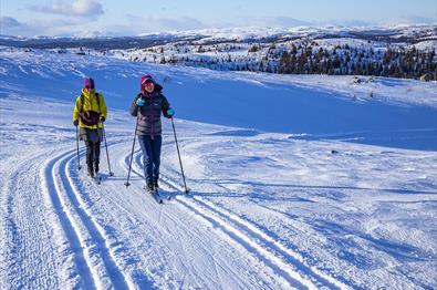 Zwei Personen im Langlaufloipennetz von Hedalen, das sich über größere Abstände über der Baugrenze erstreckt.