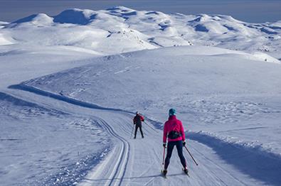 Jomfruslettfjellet rundt