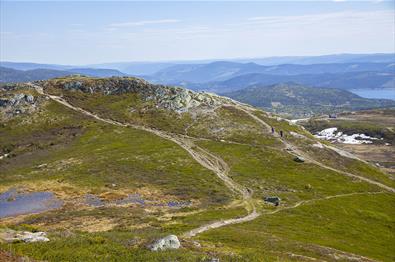 Hikers in open mountain landscape