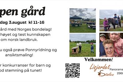 Familiedag på Lisjordetstølen