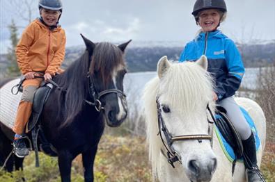 Åpen stall på Myhre Gård