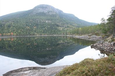 Nevlingkollen speiler seg i Nevlingen.