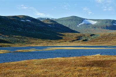 Rjupetjednet with Heimre Fagerdalshøe to the left and Raslet in the background.