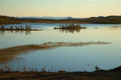 Fishing - Sebu-Røssjøen