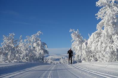 Valdresrennet