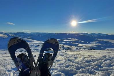 Trugeeventyr på Tyinstølen