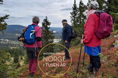 Mennesker går ute i naturen