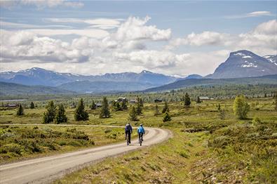 Cycling along Mjølkevegen with a beautiful view towards mountains.