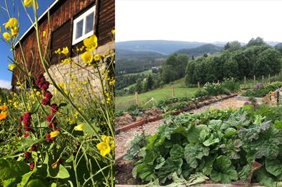 Lag en enkel permakulturhage ved hus eller hytte
