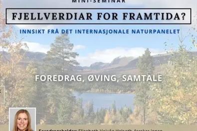 Miniseminar: Fjellverdier for fremtida