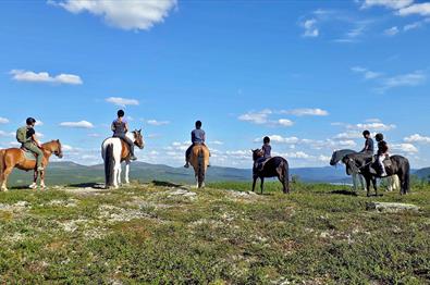 Ridetur på fjellet med Myhre Gård.