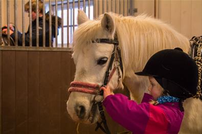 Jente som steller hest hos Myhre Gård