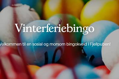 Vinterferiebingo på Tyin-Filefjell