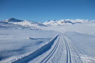 Langrennsløyper i høyfjellslandskap med blå himmel