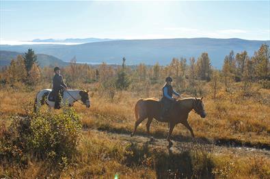 Ridetur på høstfjellet