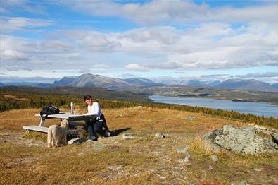 From the picknick spots on the hills on Golsfjellet you can enjoy a formidable view towards mountains and lakes.