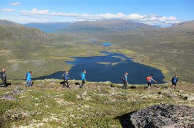 Hikers in a row in the fells over the treeline. Lakes can be seen in the background.