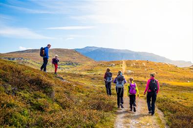 The King's Road across Filefjell on the leg between Kyrkjestølen and Maristova.