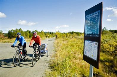 Cycling across Golsfjellet