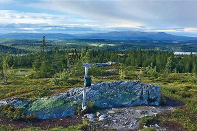 Utsikt fra Vardafjell med turpostkasse over vid lavfjellsterreng med skoger og vann mot Synnfjellet.