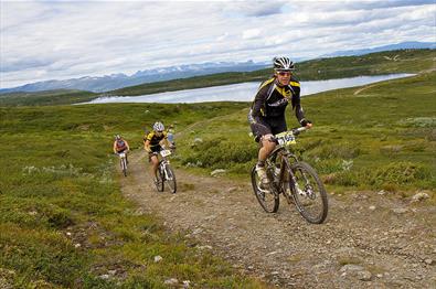 Terrengsyklister på kjerrevei over Syndisfjellet. I bakgrunnen ses Jotunheimens tinder.