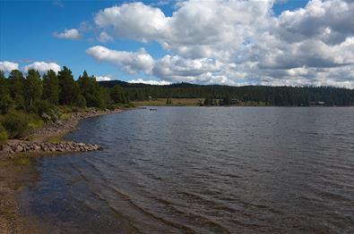 Ølsjøen i Tisleidalen er et godt fiskevann.