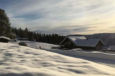 Valdres Alpin Apartments