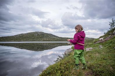 Fishing in Lake Gravolstjednet.