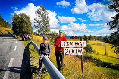 Sygarden i Hålien