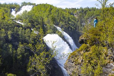 Double waterfall in a summergreen birch valley.  A person standing at the abyss.