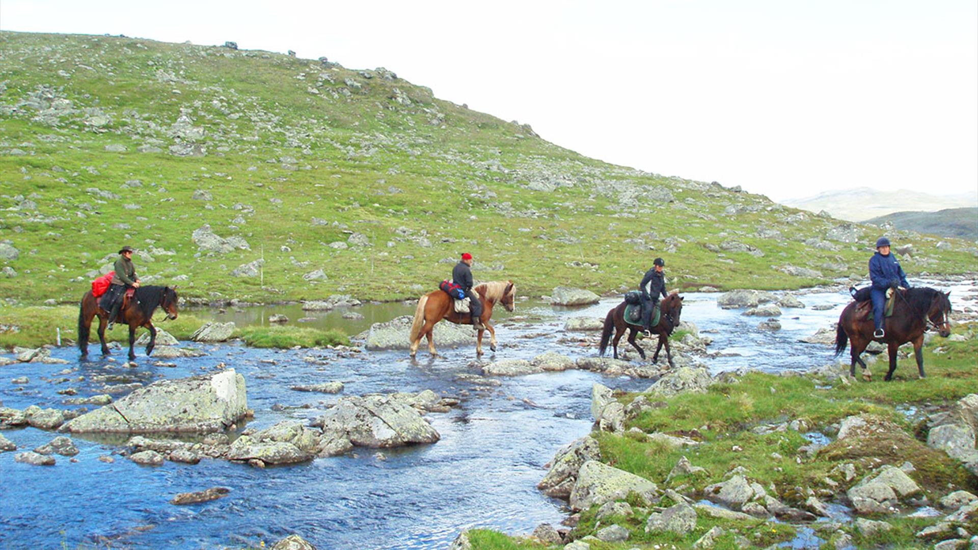Kryssing av elv på hest i frodig fjell-landsskap.