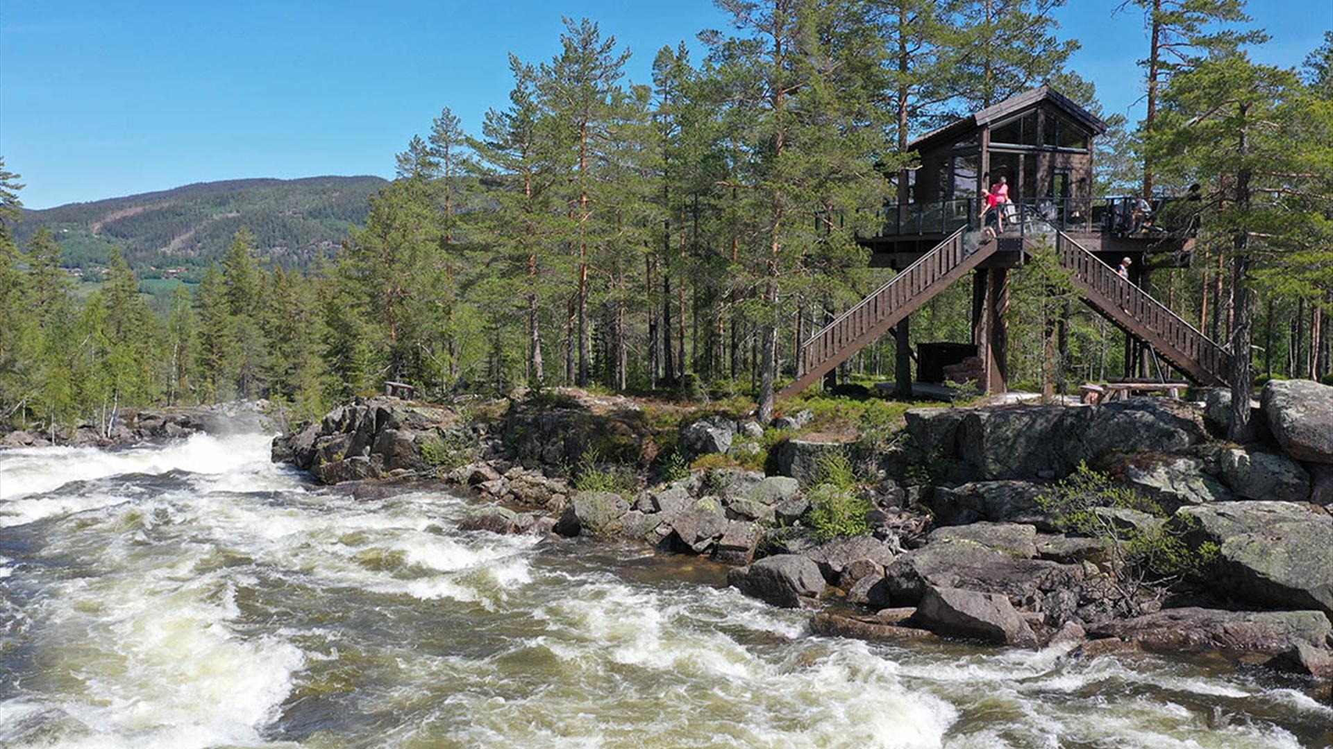 Tretopphyttene til Fosstopp ligger midt i skogen, rett ved den store elva Aurdøla.
