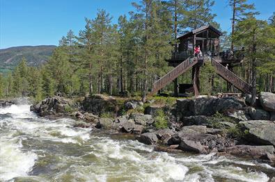 Tretopphyttene til Fosstopp ligger rett ved den mektige elva Aurdøla og villmarksparadiset Vassfaret.
