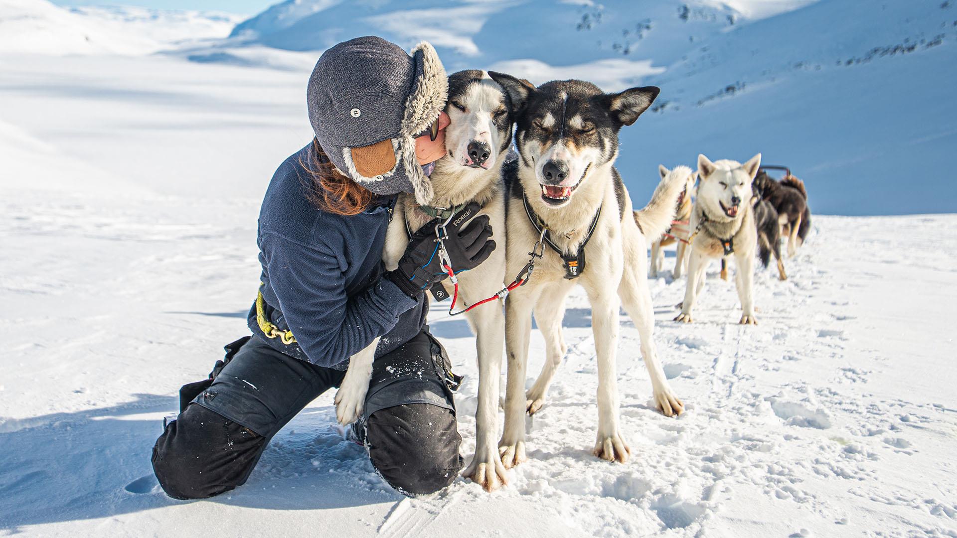 During a break on a dog sledding trip in the mountains the driver kneels beside the leading dog pair and hugs them.