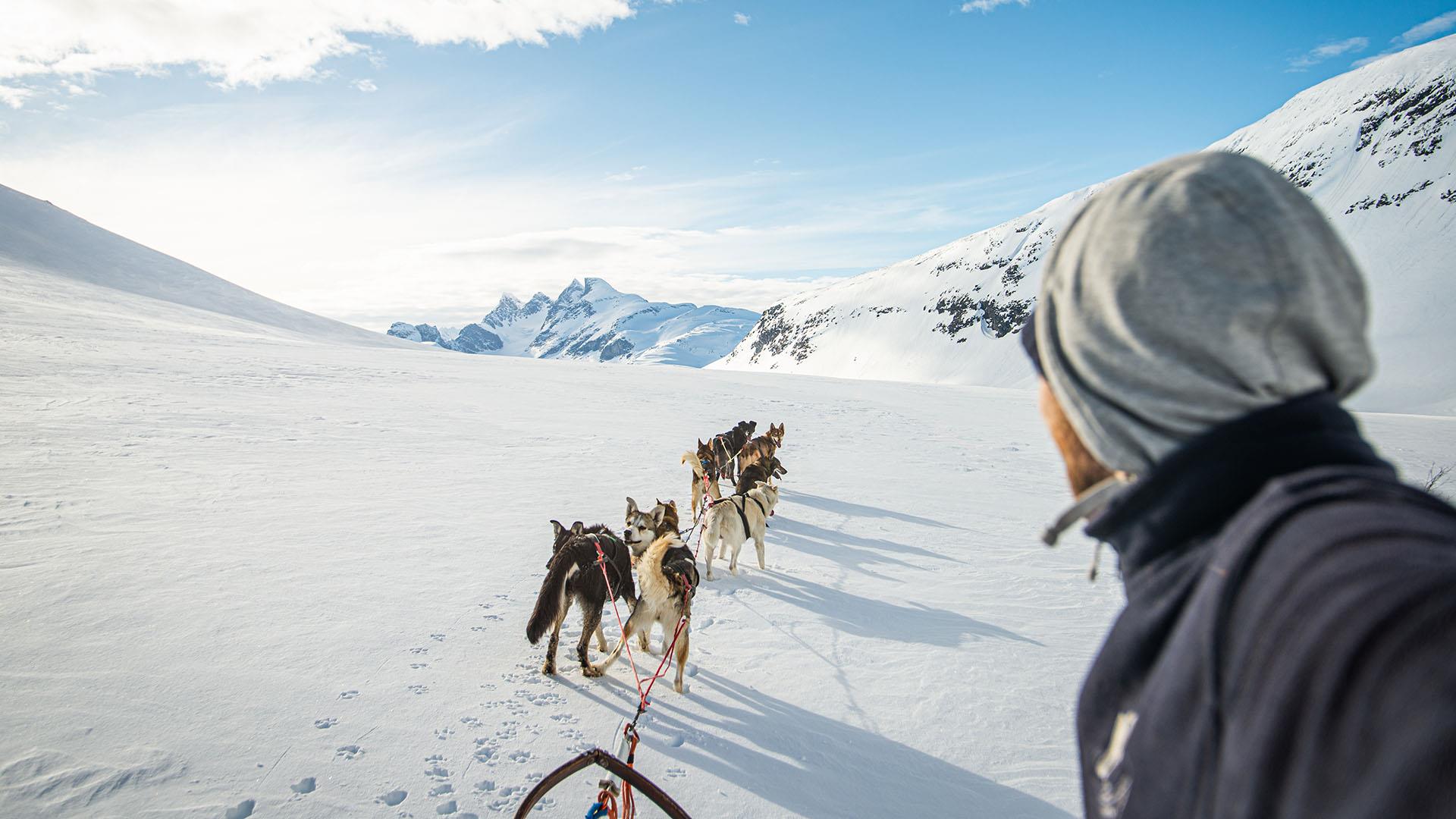 A dog sledding team in winter mountain landscape with a massif of pointed, alpine peaks in the background.