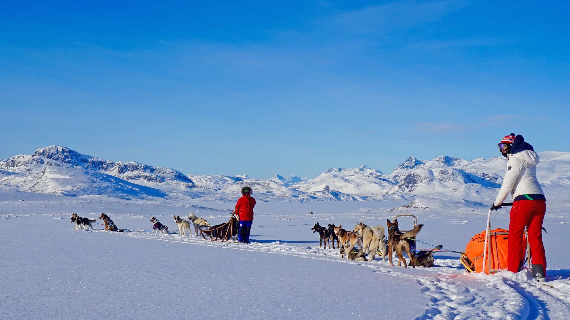 Zwei Hundegespanne auf einem zugeschneiten Bergsee mit hohen Bergen im Hintergrund.