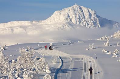 Cross-country skiing in Beitostølen with the mountain Bitihorn as a backdrop.