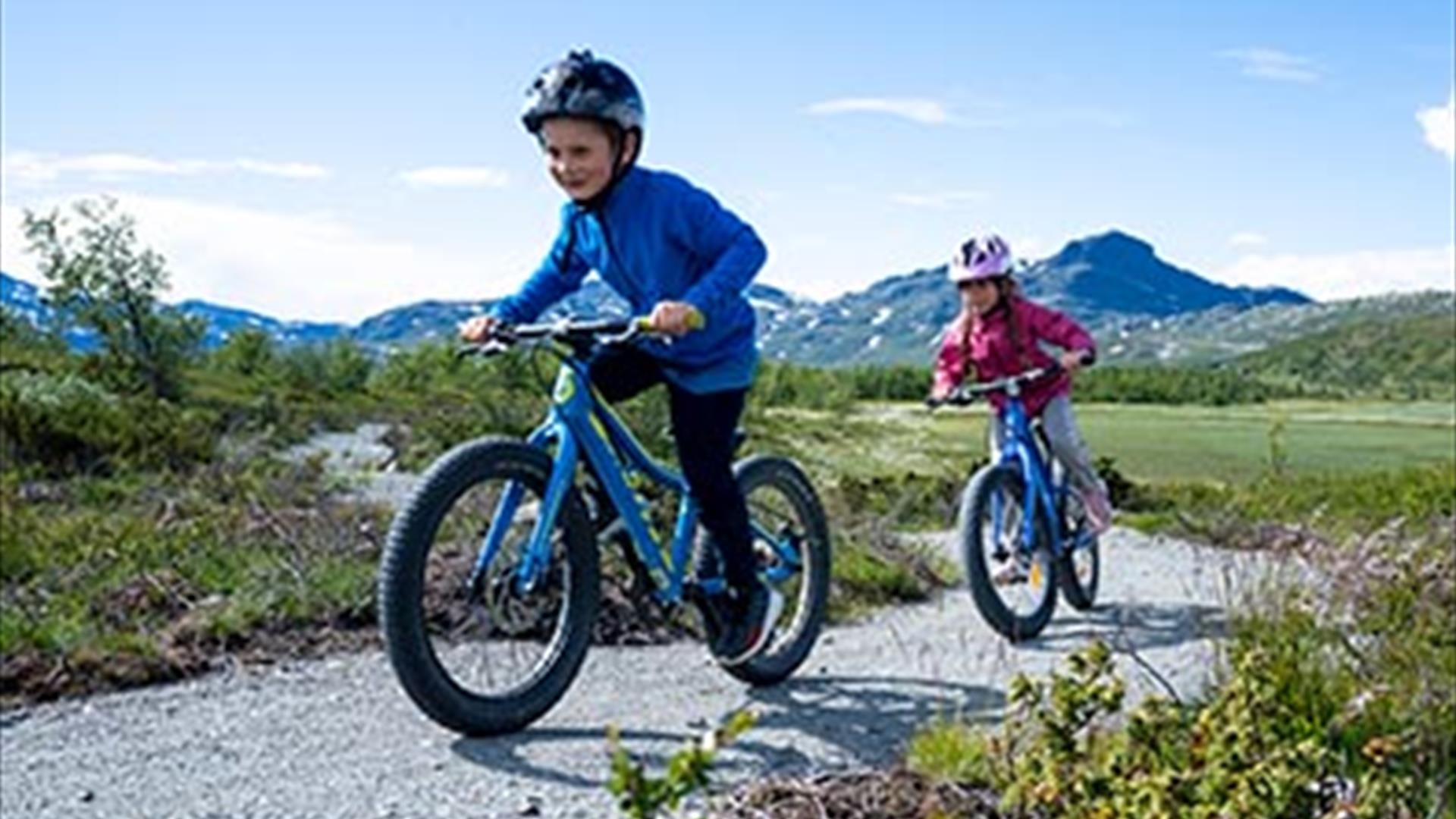 Two children on a mountain biking trail in the mountains.