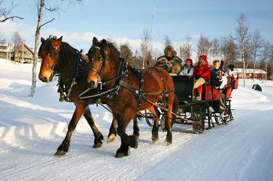 Thumbnail for Horse sleigh ride