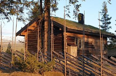 |Log cabin in pine forest in the evening sun