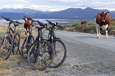 Fahrradverleih entlang der Fahrradroute Mjølkevegen durch Fjellkjeden|