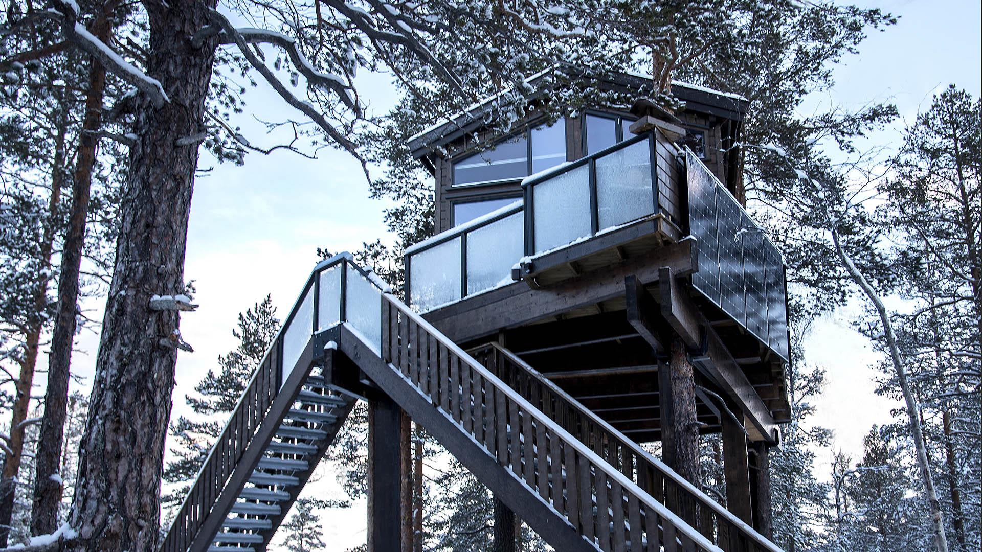 Tree top cabin in pine forest in the snow